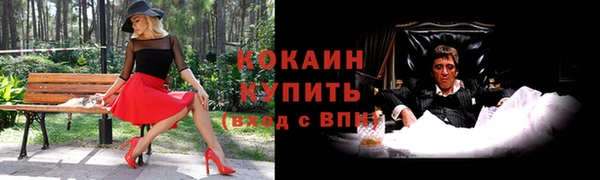 соль ск Алексин