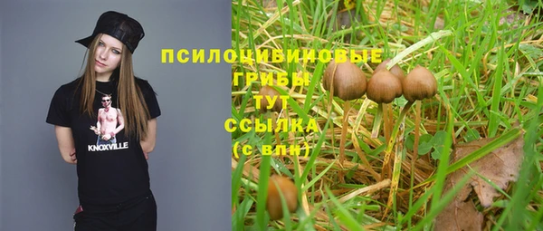 сатива Алзамай